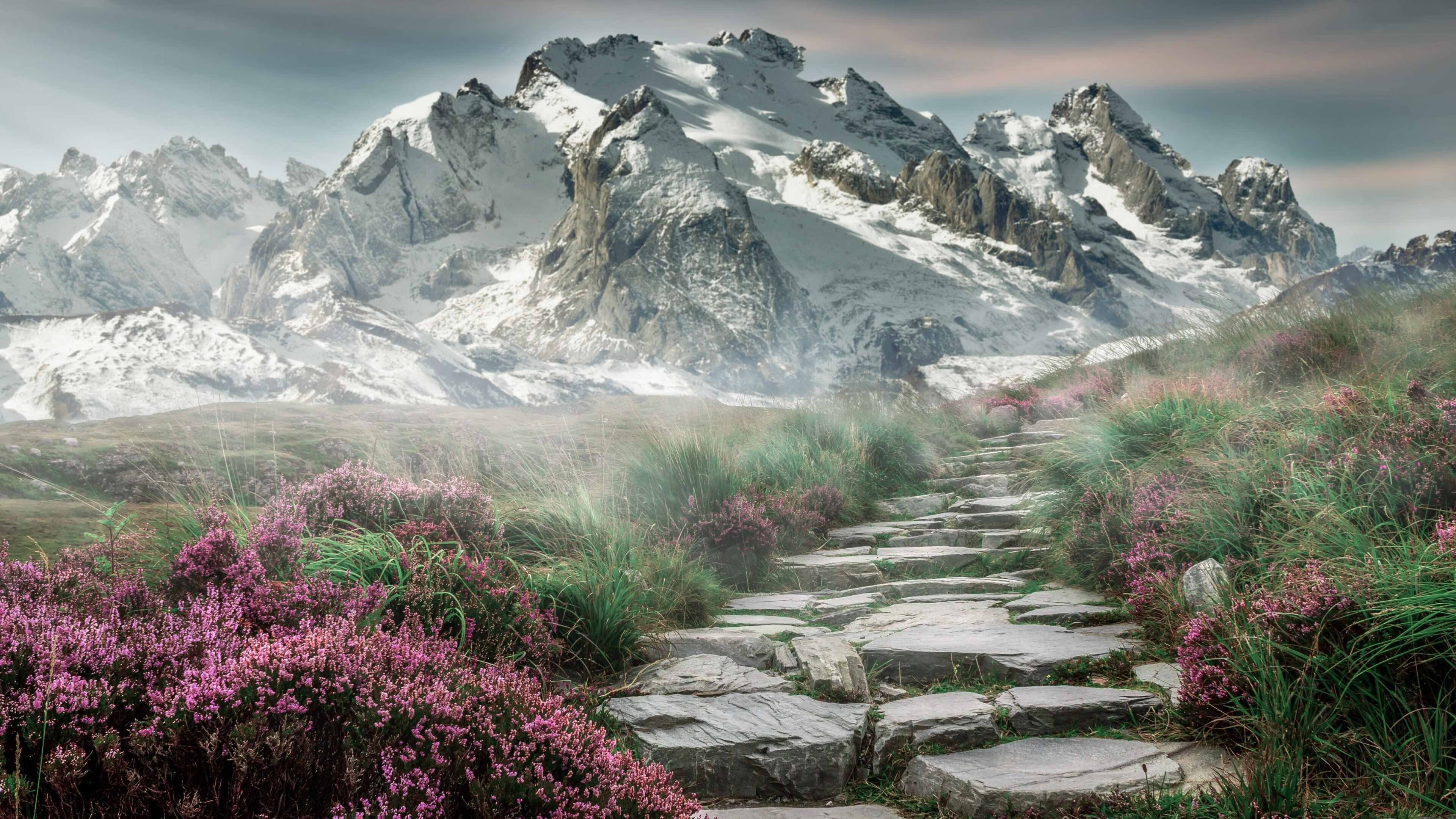 爱游戏下载-CBA新赛季揭幕 各队蓄势待发，cba新赛季赛程安排规则