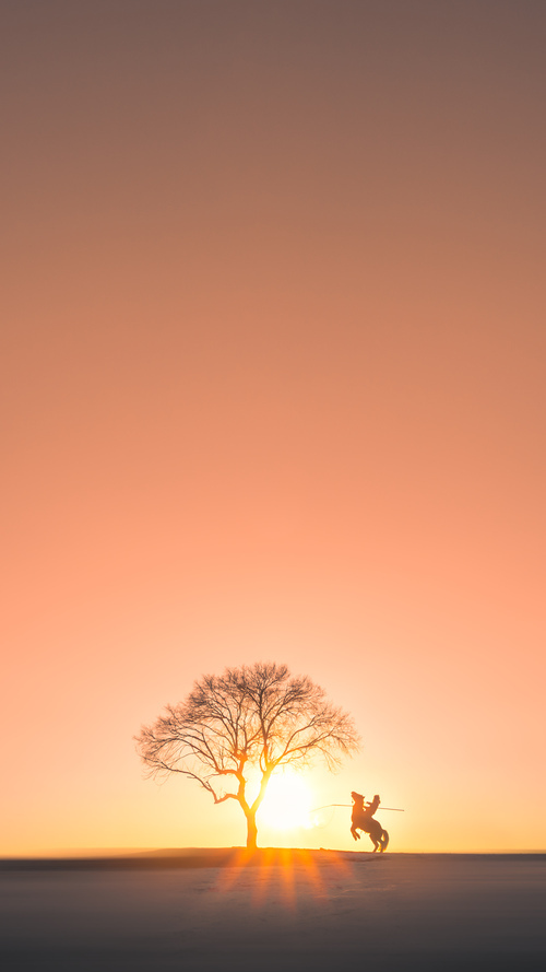 国际足联官方宣布2026年世界杯扩军政策，国际足联官方宣布2026年世界杯扩军政策