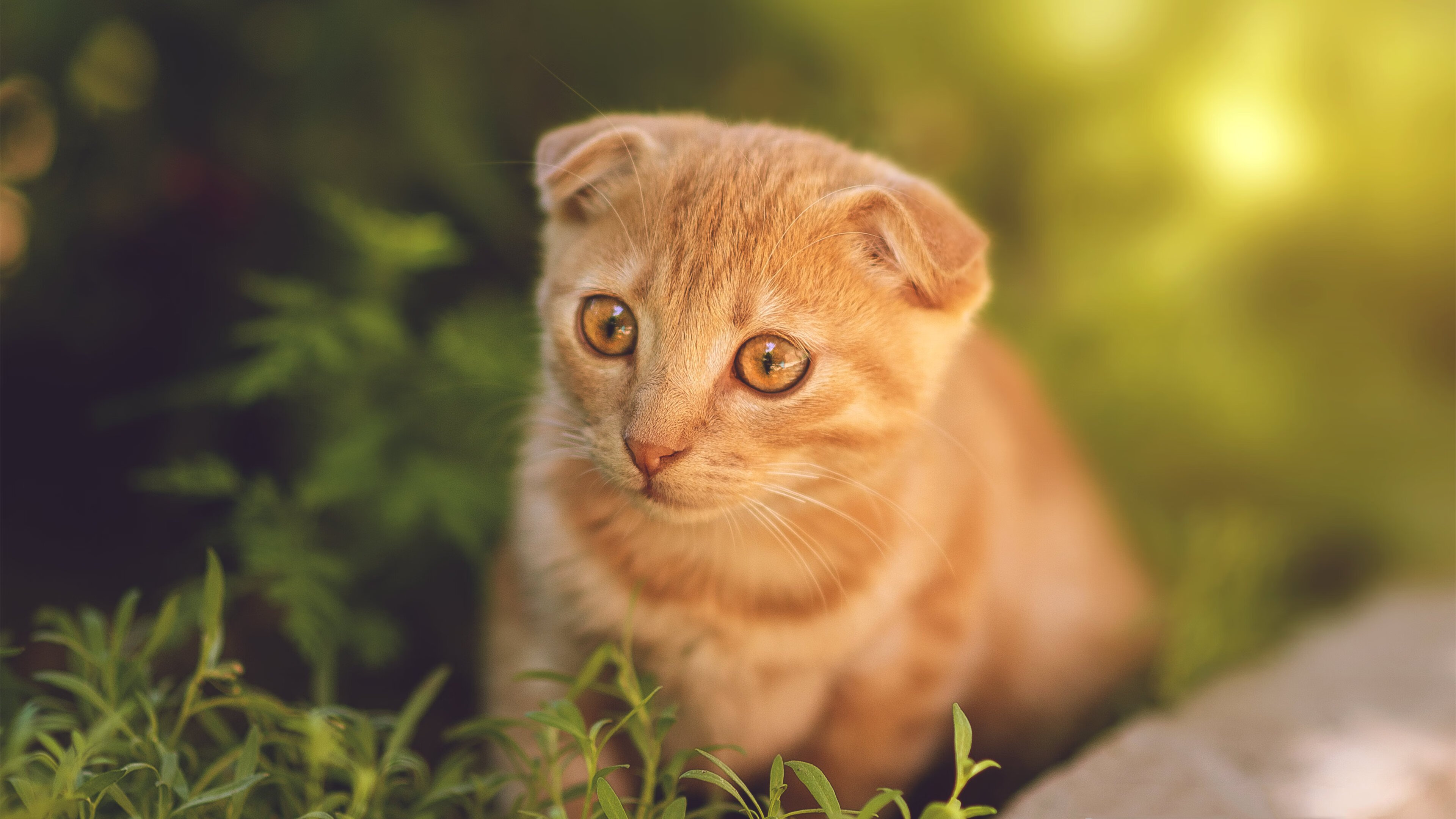 意甲精彩瞬间：快节奏，精彩纷呈！，意甲经典比赛